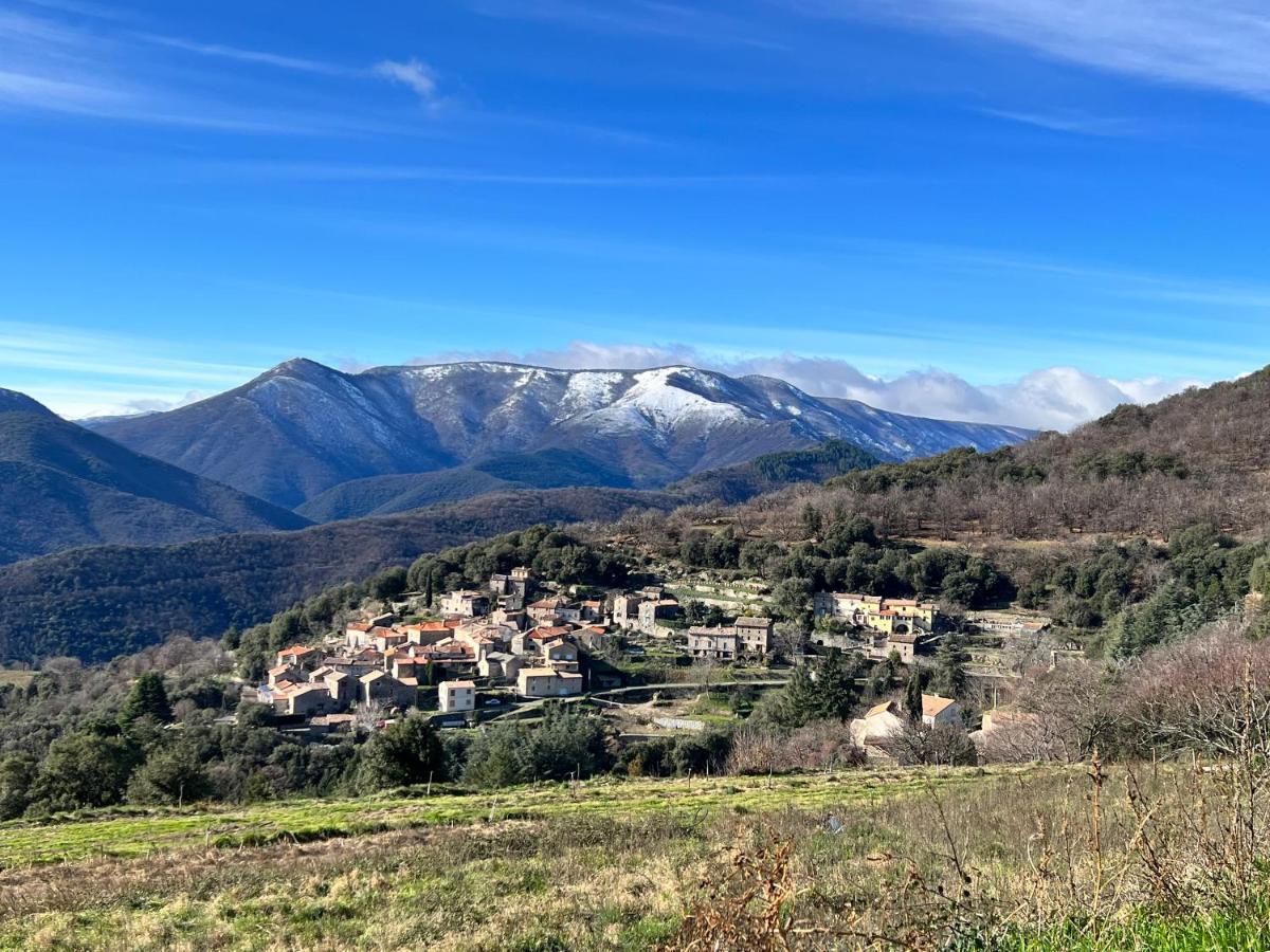 Les Gites D'Ardaillers Valleraugue Extérieur photo