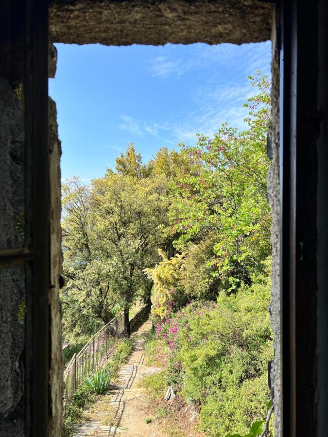 Les Gites D'Ardaillers Valleraugue Extérieur photo