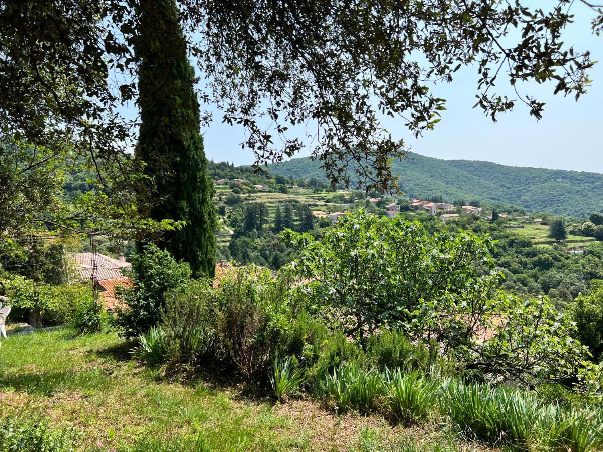 Les Gites D'Ardaillers Valleraugue Extérieur photo