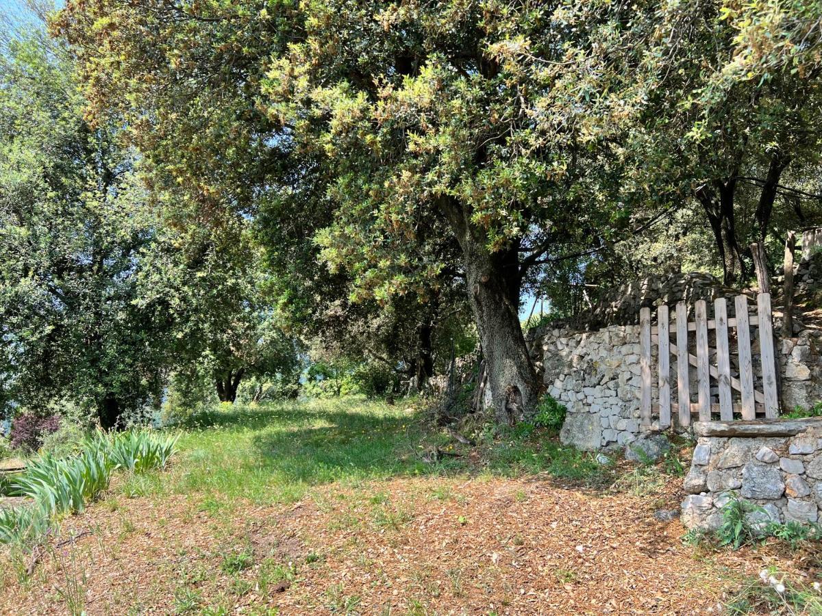 Les Gites D'Ardaillers Valleraugue Extérieur photo